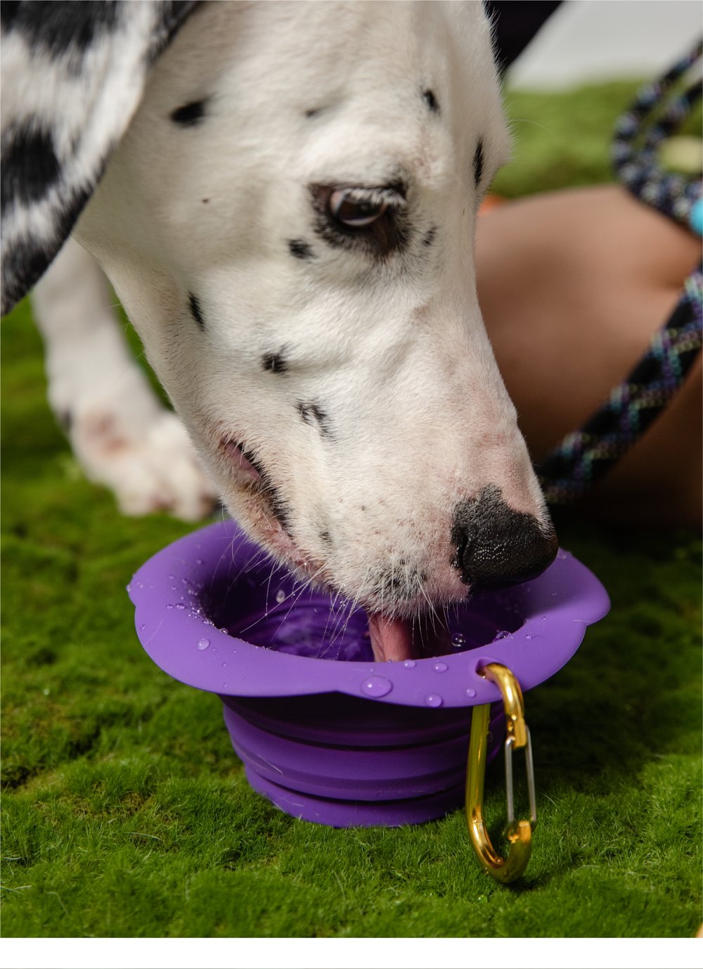 Hardness: Resistant to softening and collapsing