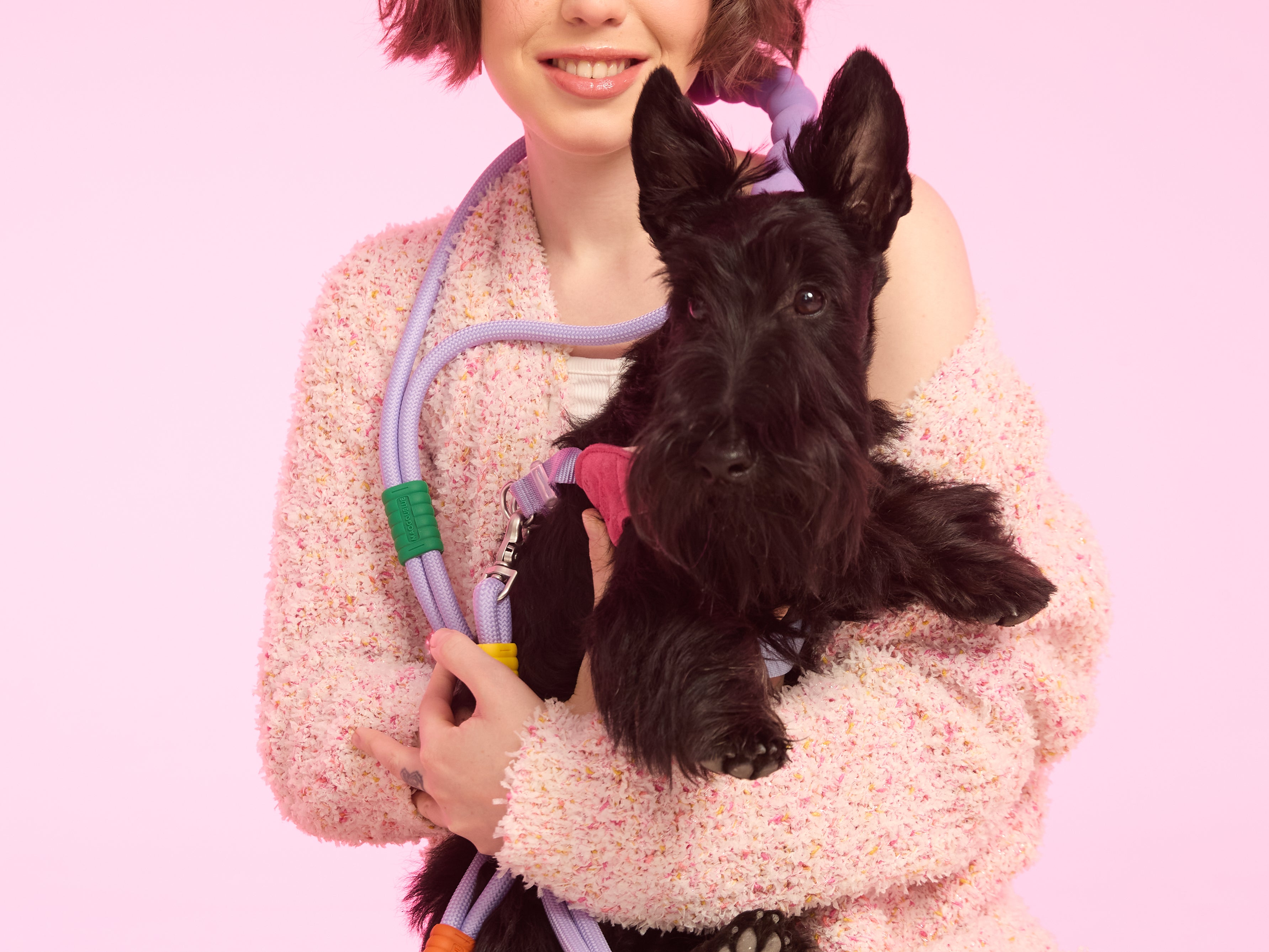 Connecting Pets and People Through Thoughtful Design