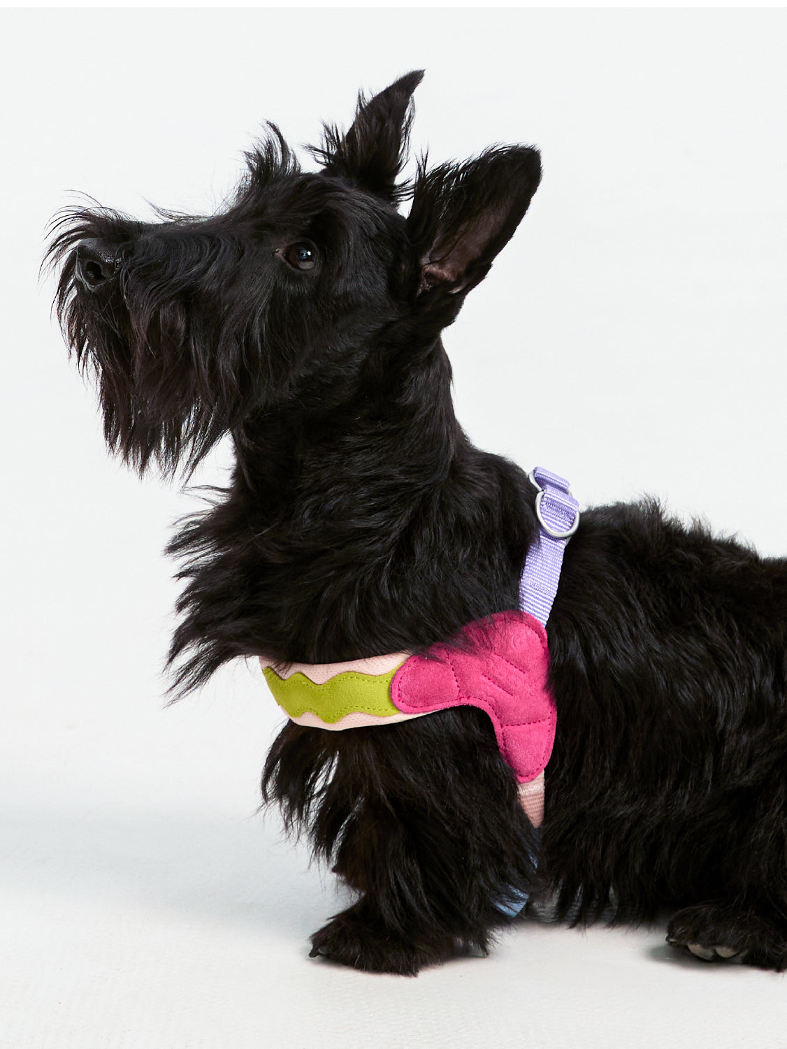 Dog Harnesses