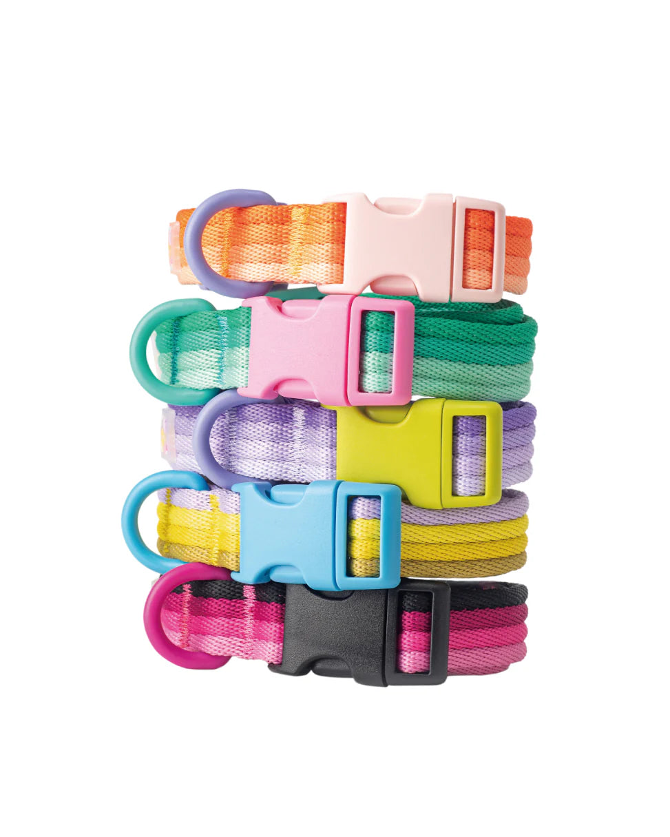 DOG COLLAR