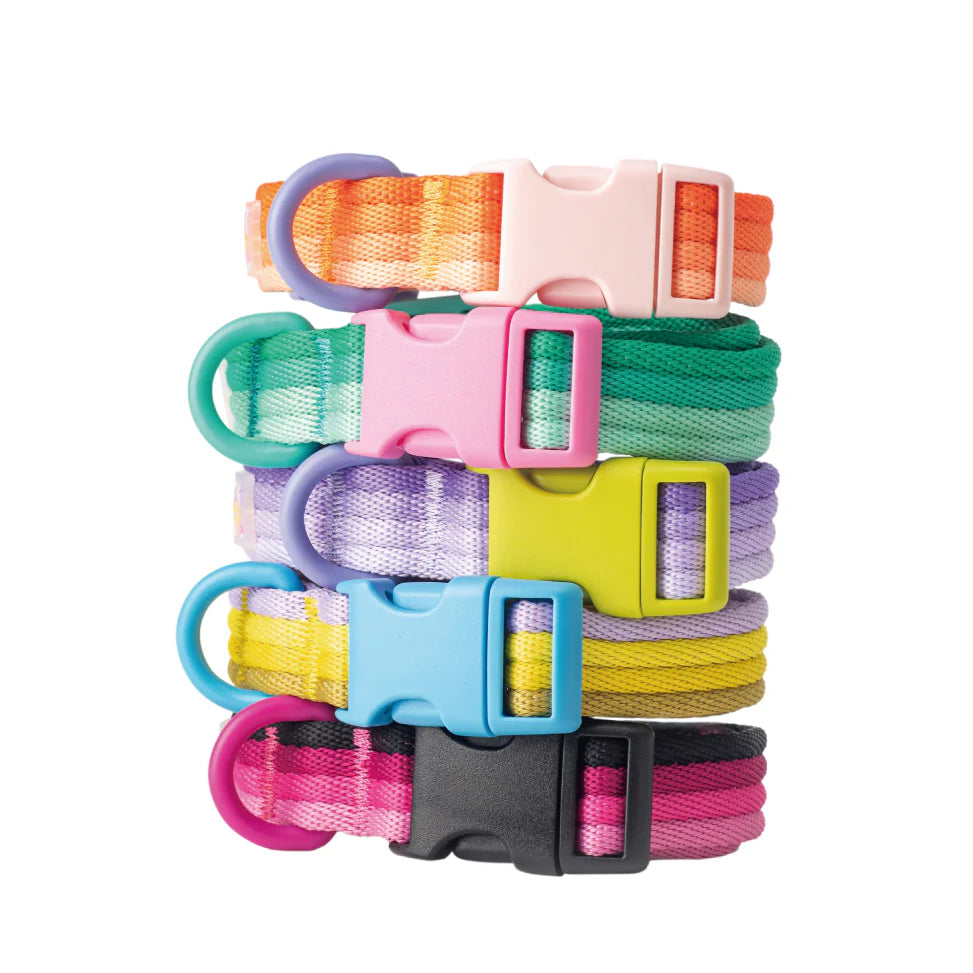 DOG COLLAR