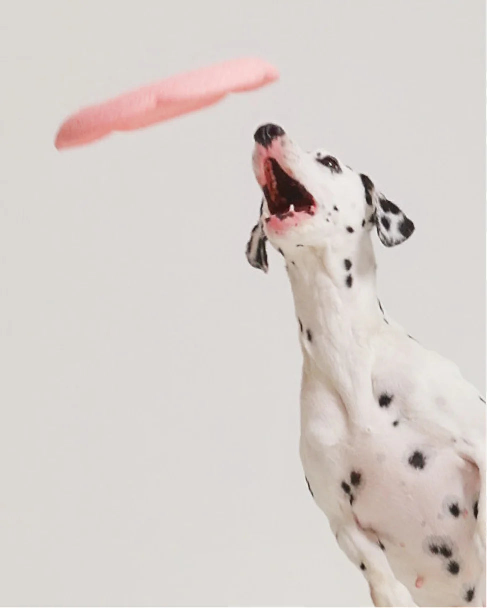 TOY