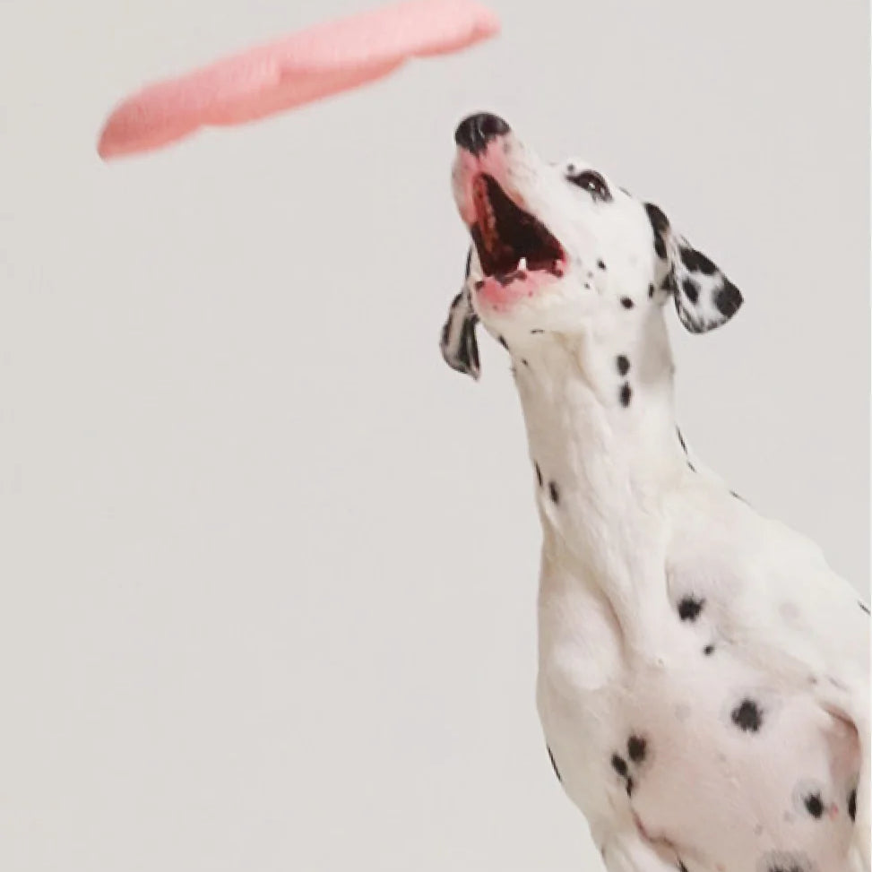 TOY