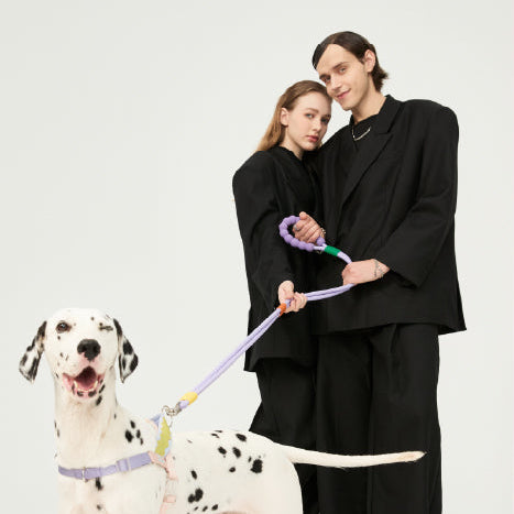 犬用リード