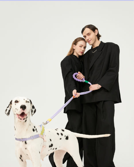 Dog Leash