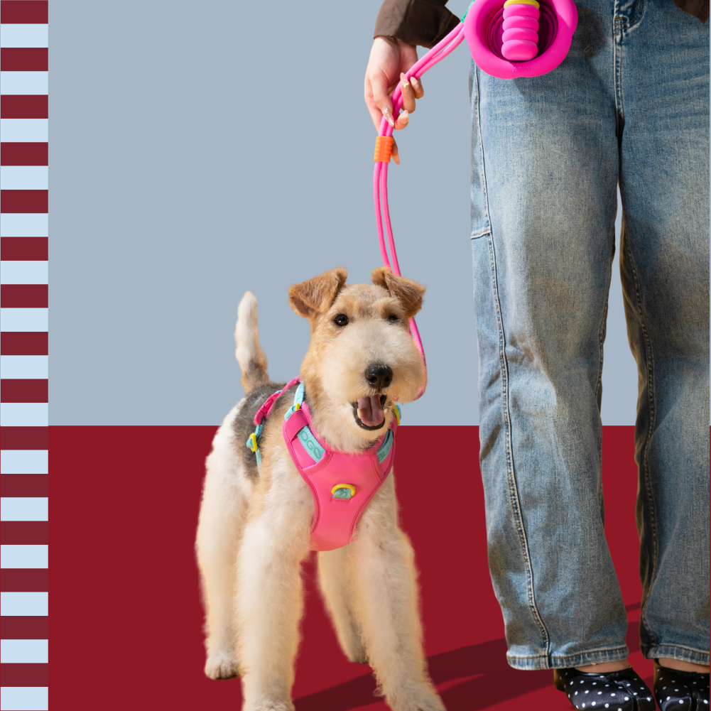 Grab & Go Walk Kits