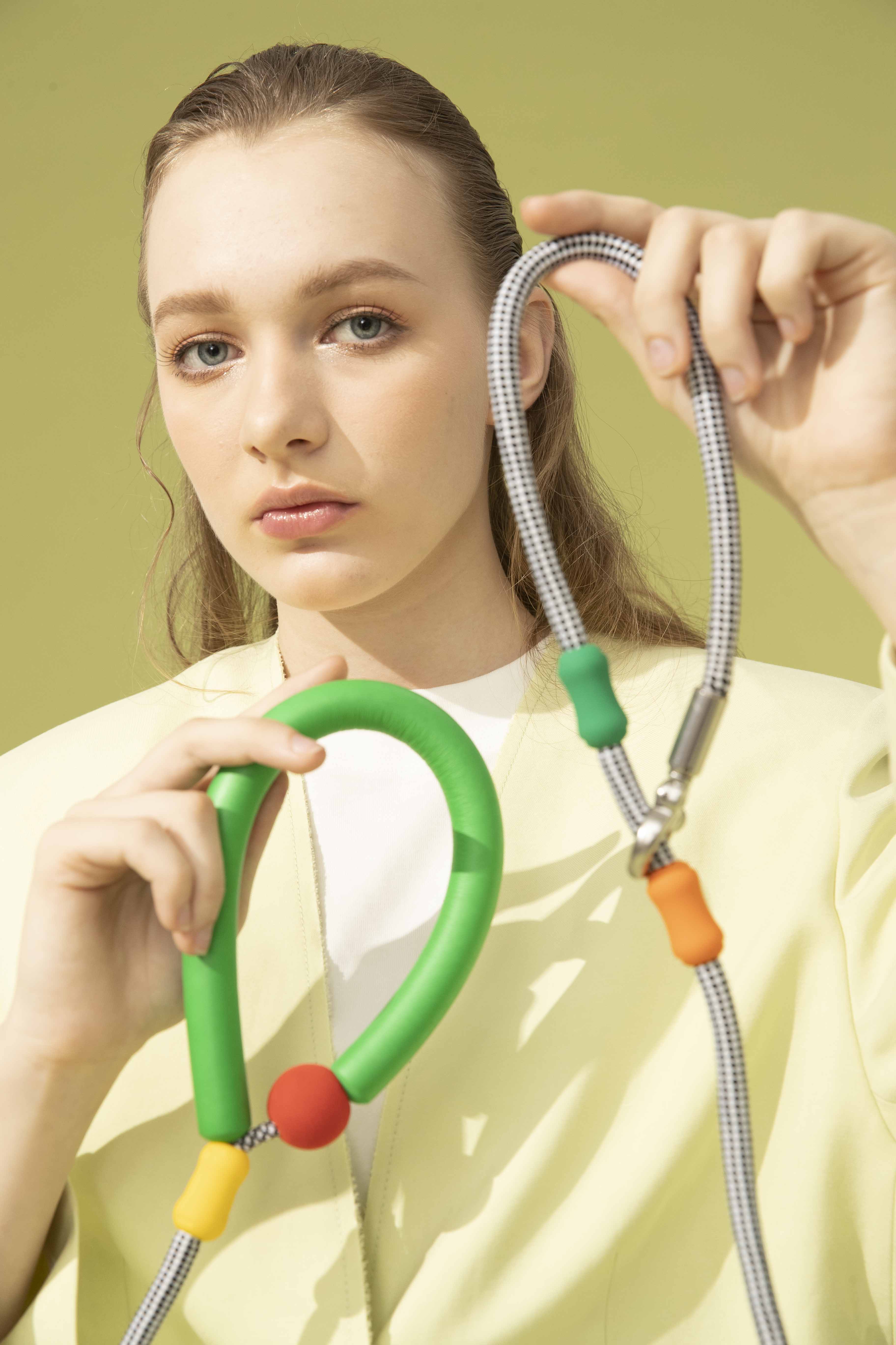 Dog Leashes