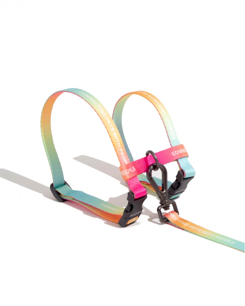 Urban Feline-Cat Leash