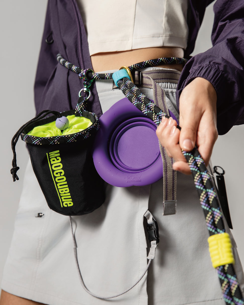 Marshmallow Max Dog Leash-Neon