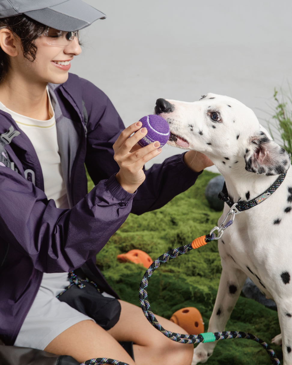 Marshmallow Max Dog Leash-Neon