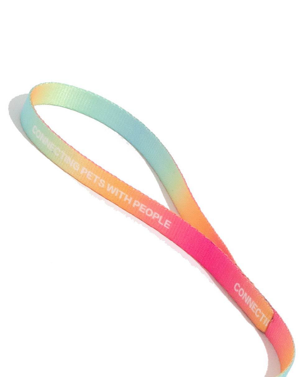 Urban Feline-Cat Leash