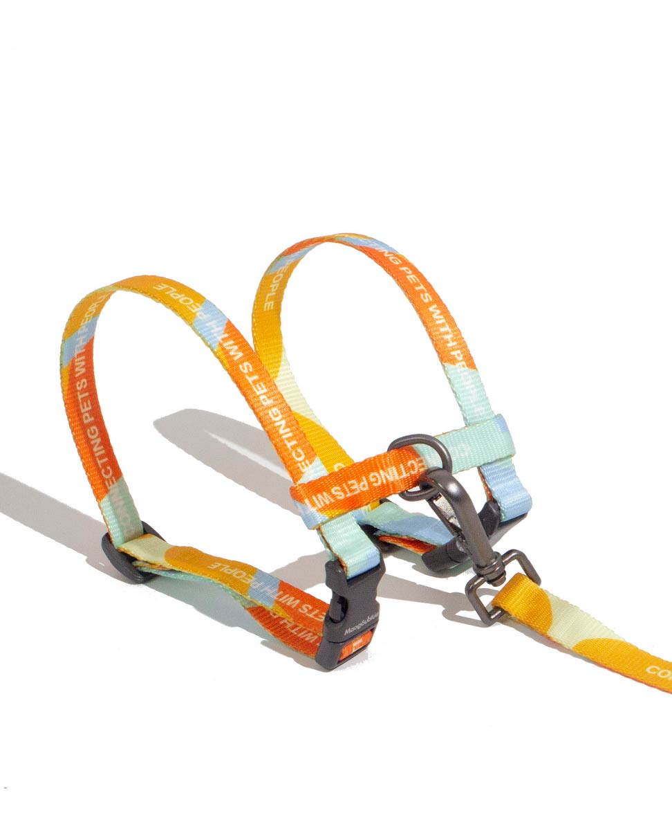 Urban Feline-Cat Leash