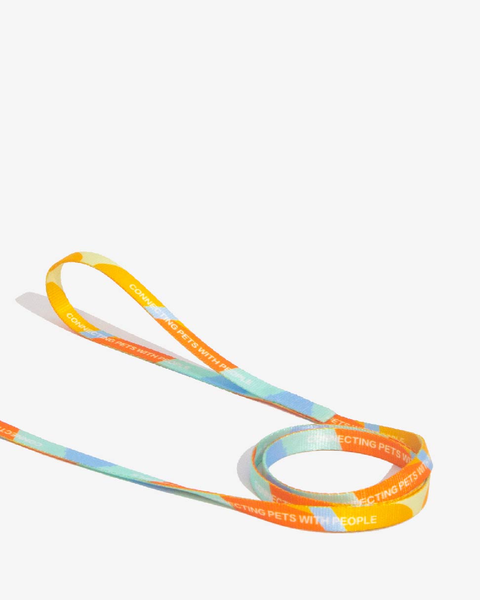 Urban Feline-Cat Leash