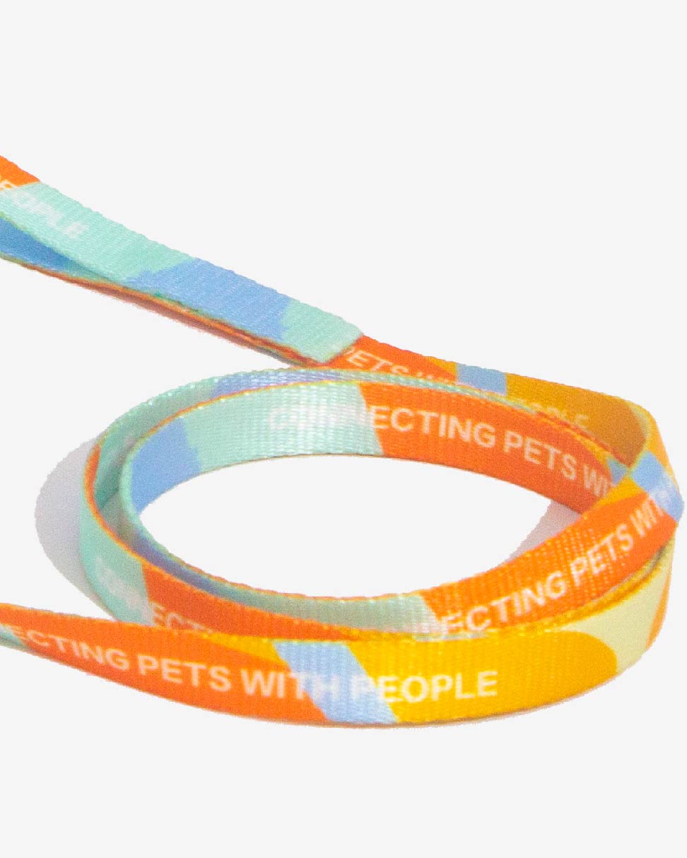 Urban Feline-Cat Leash