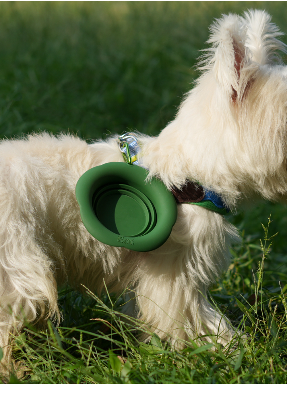 Customised metal climbing carabiner