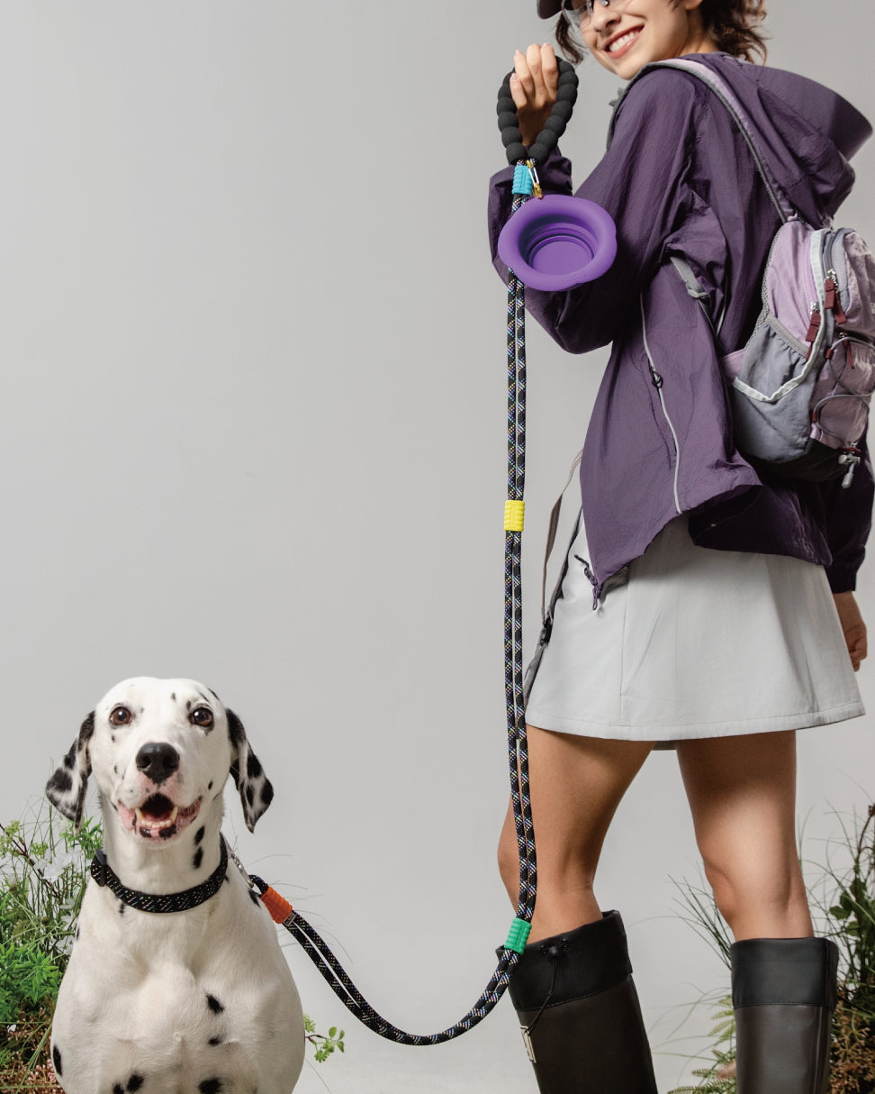 Marshmallow Max Dog Leash-Neon