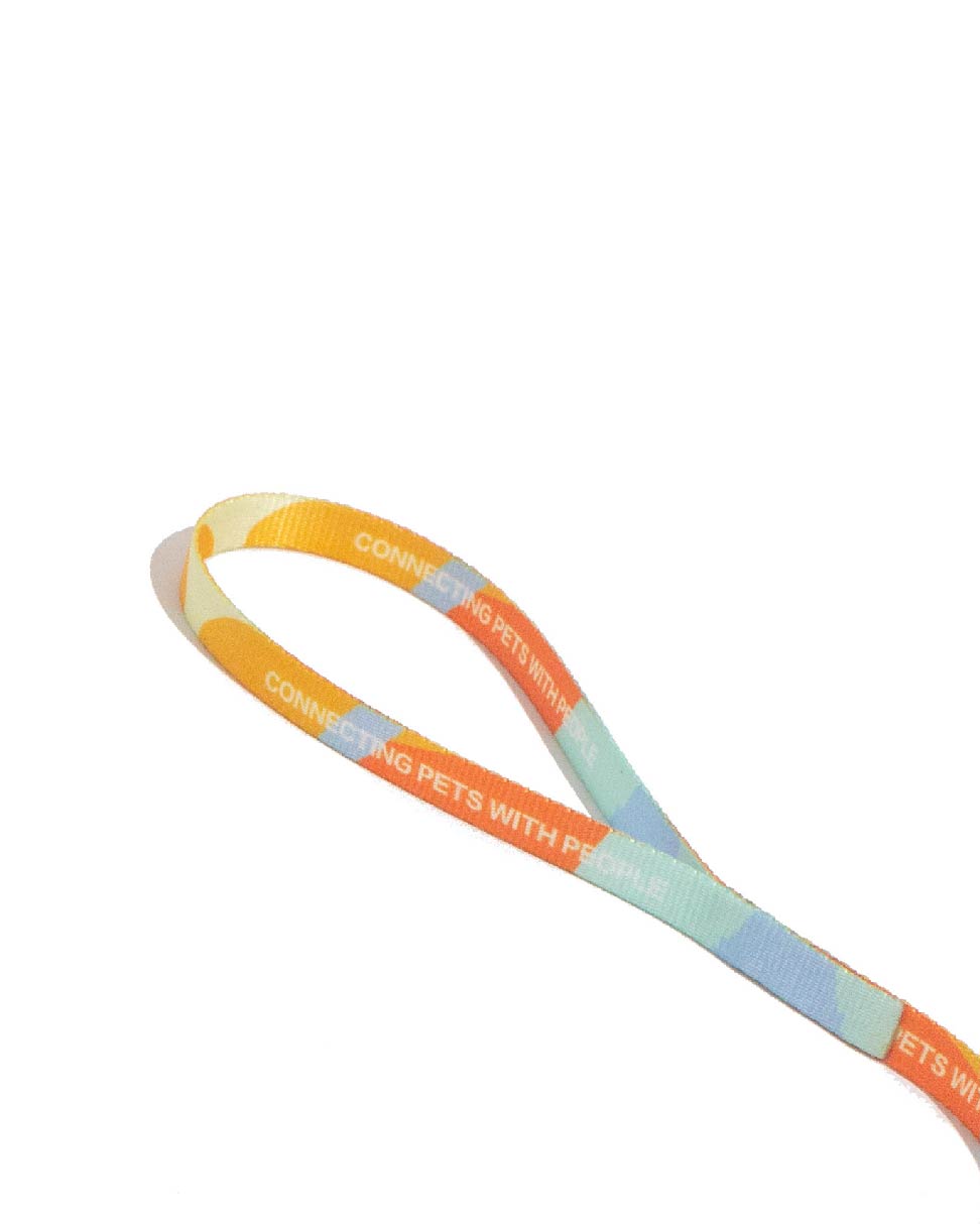 Urban Feline-Cat Leash