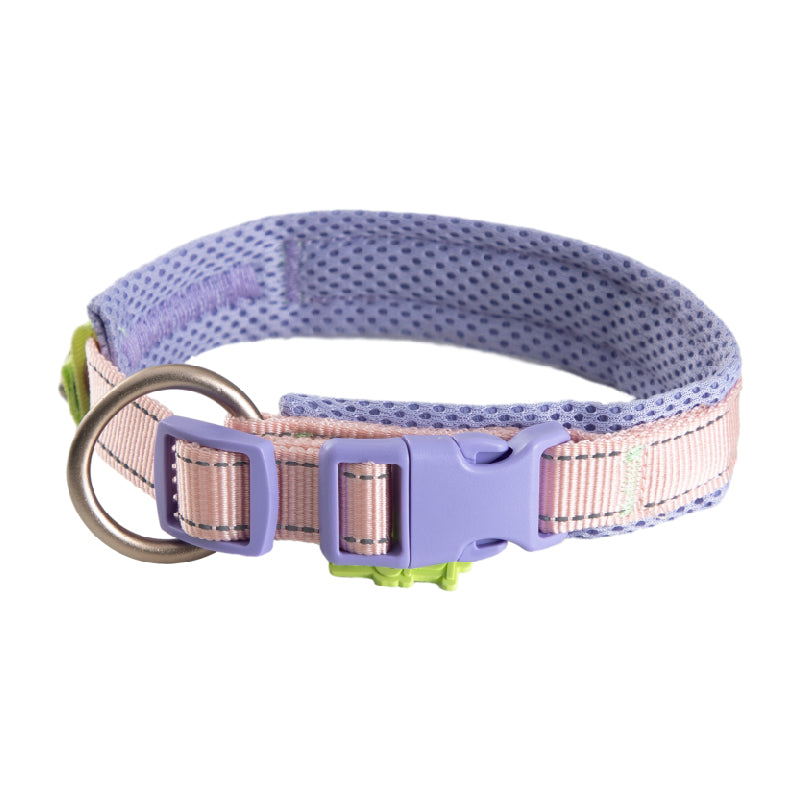 Wizard Adventure Dog Collar