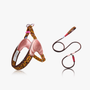 Island Harness 2-Piece Walk Set