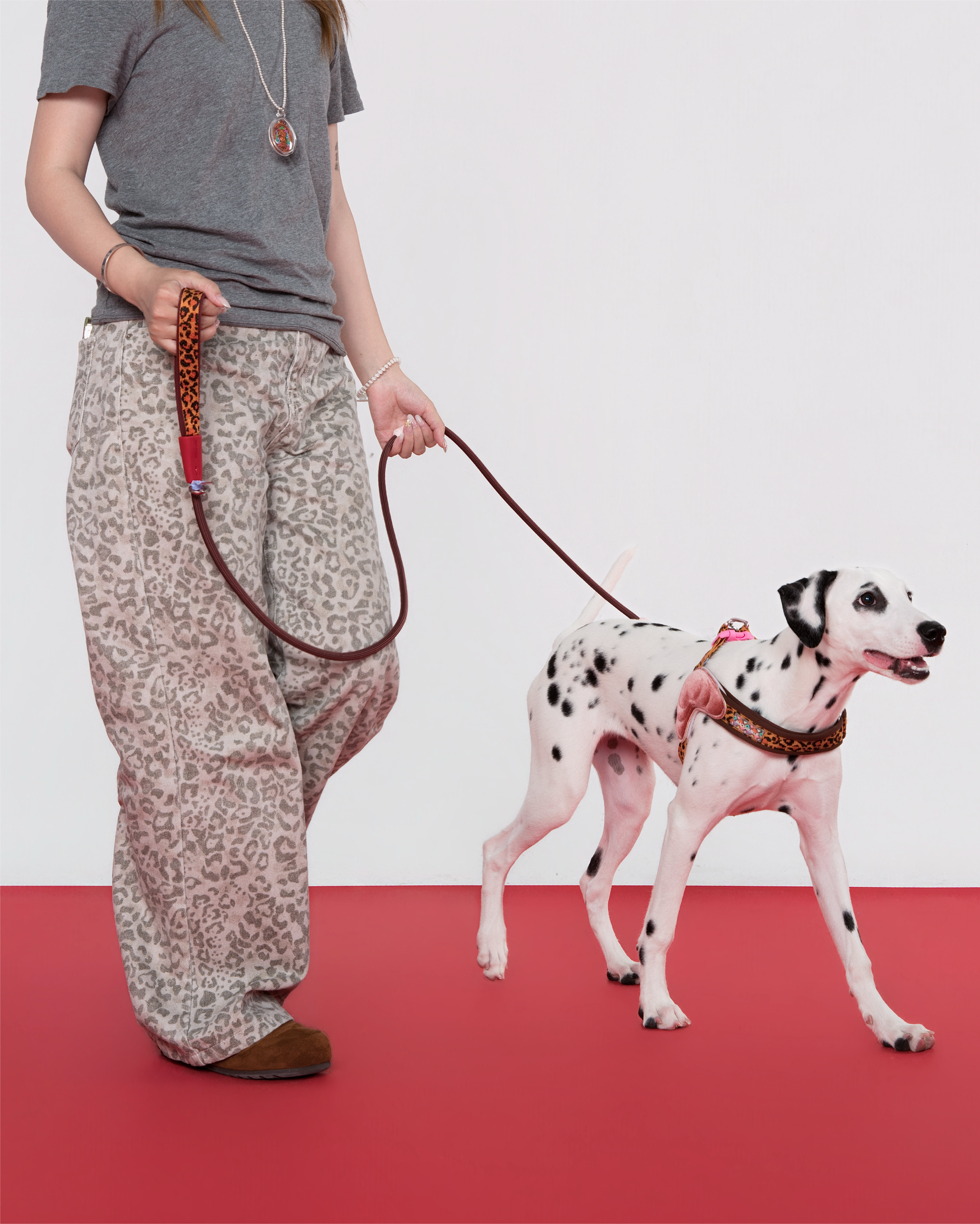 Island Harness 2-Piece Walk Set