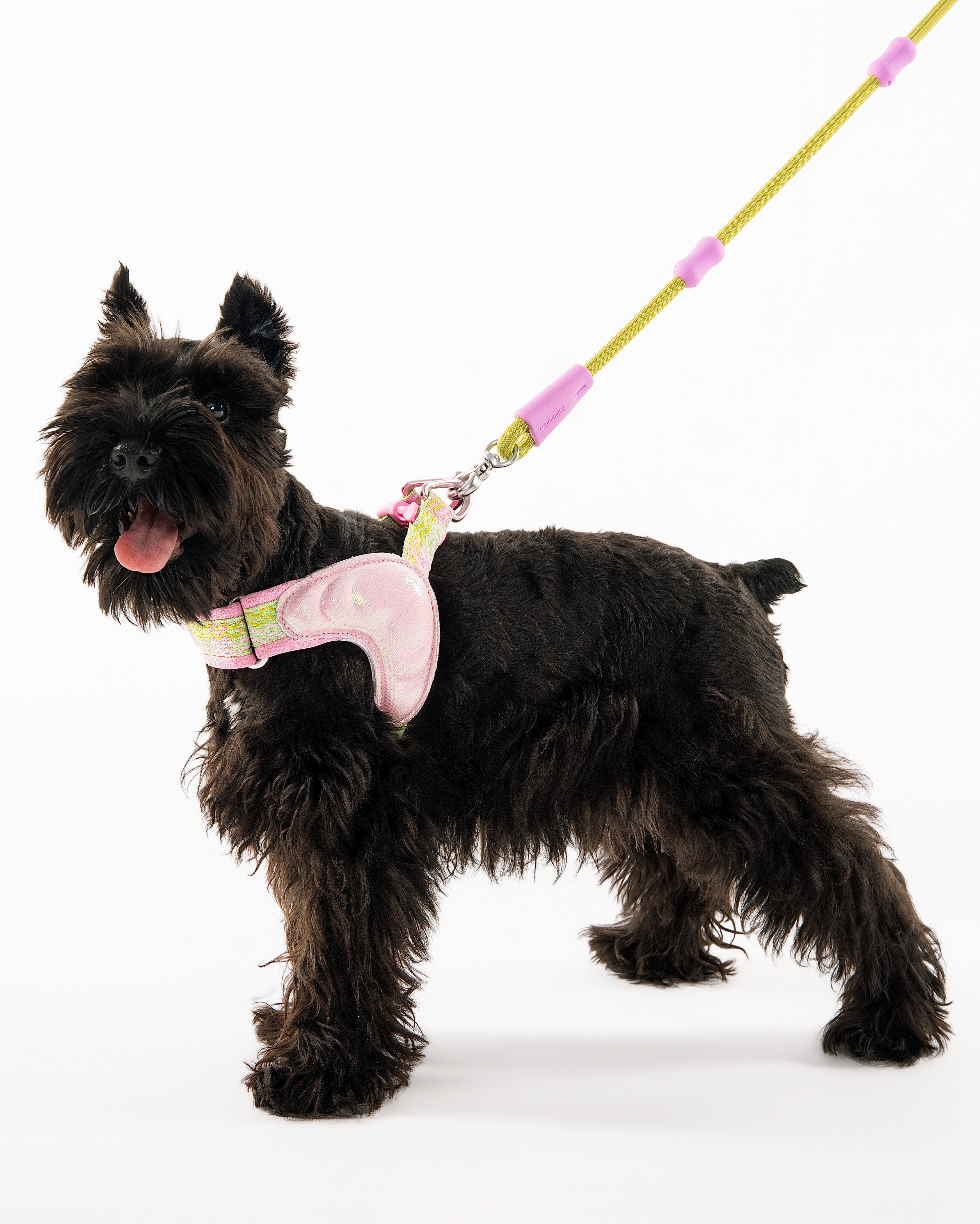 Island Series Adjustable Chest Harness