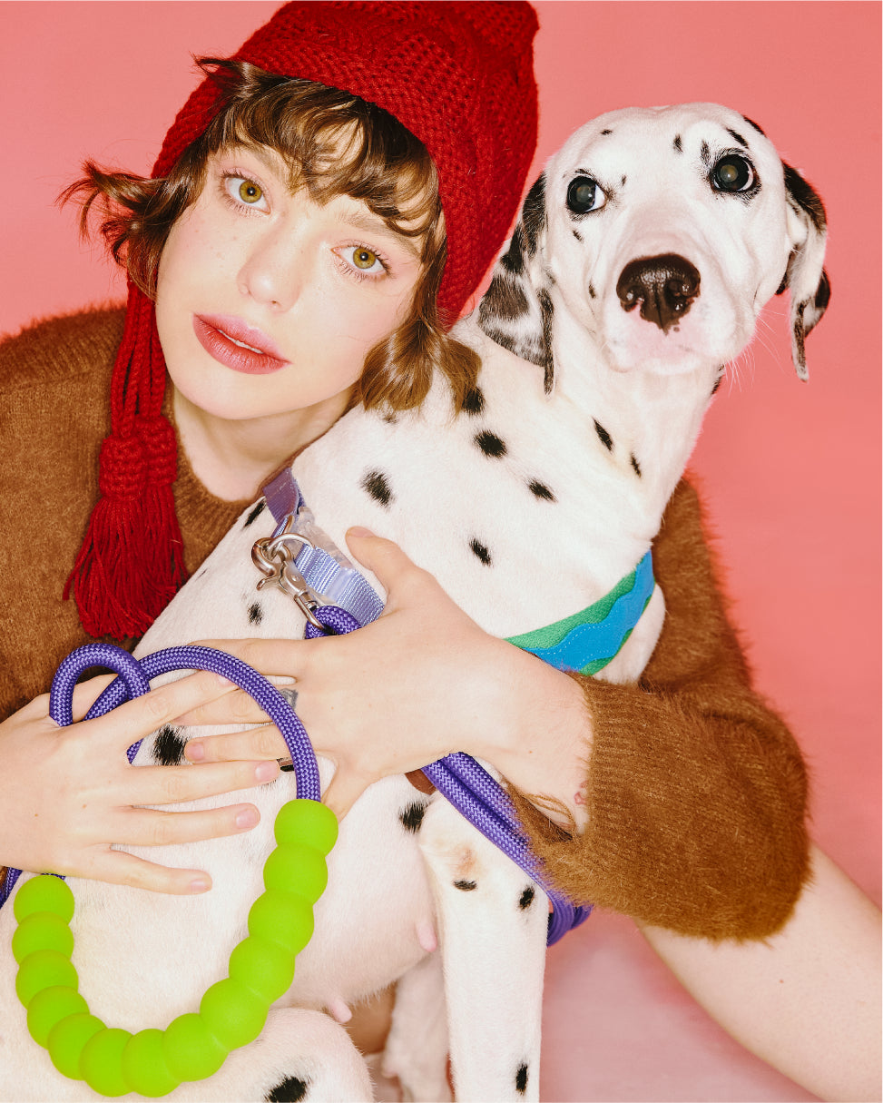 Marshmallow Standard Dog Leash Kit