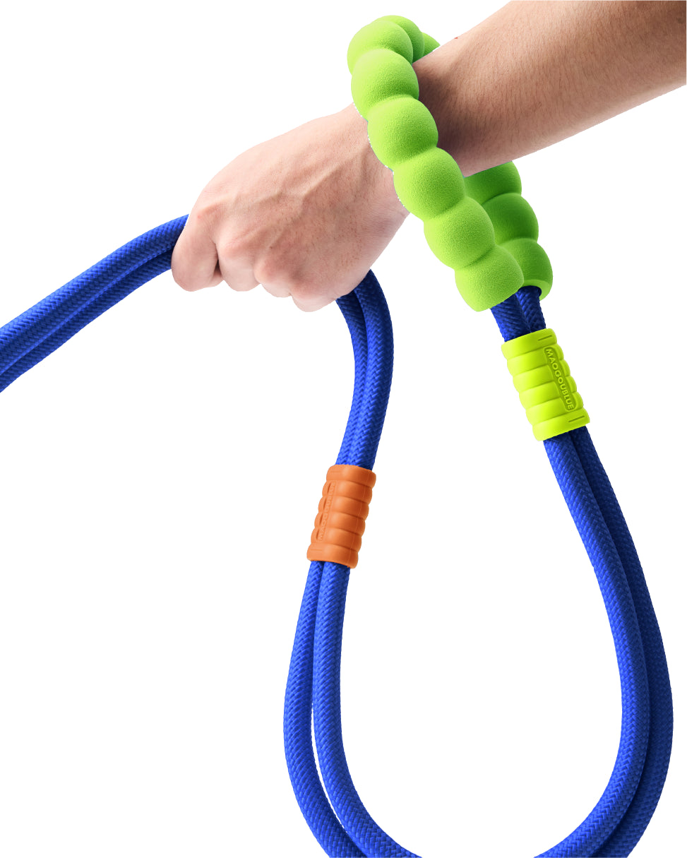 Marshmallow Standard Dog Leash Kit