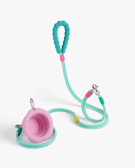 leash-collar