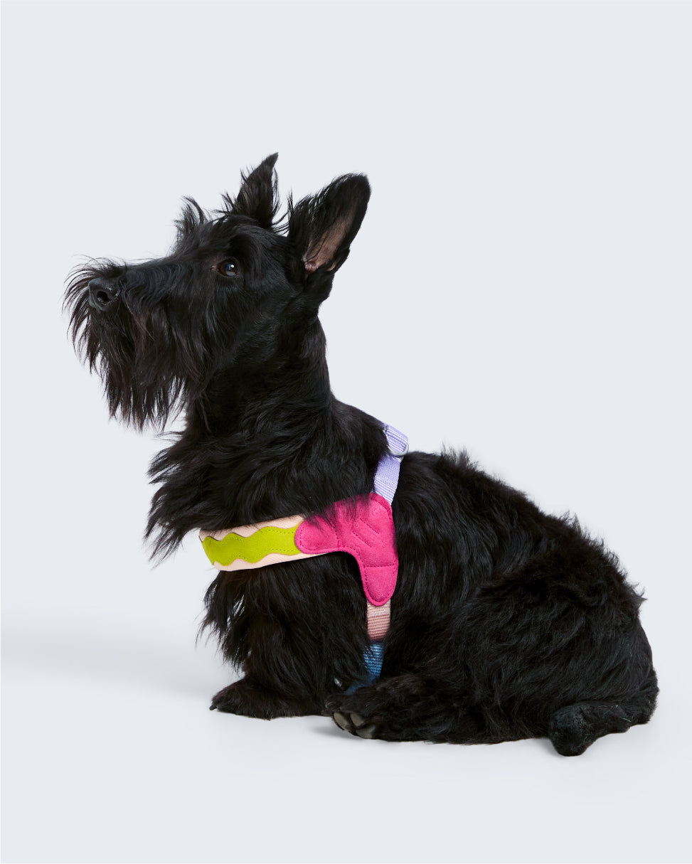 Island V-Shaped Dog Harness
