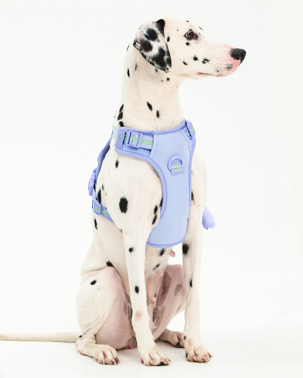 Central Park Harness