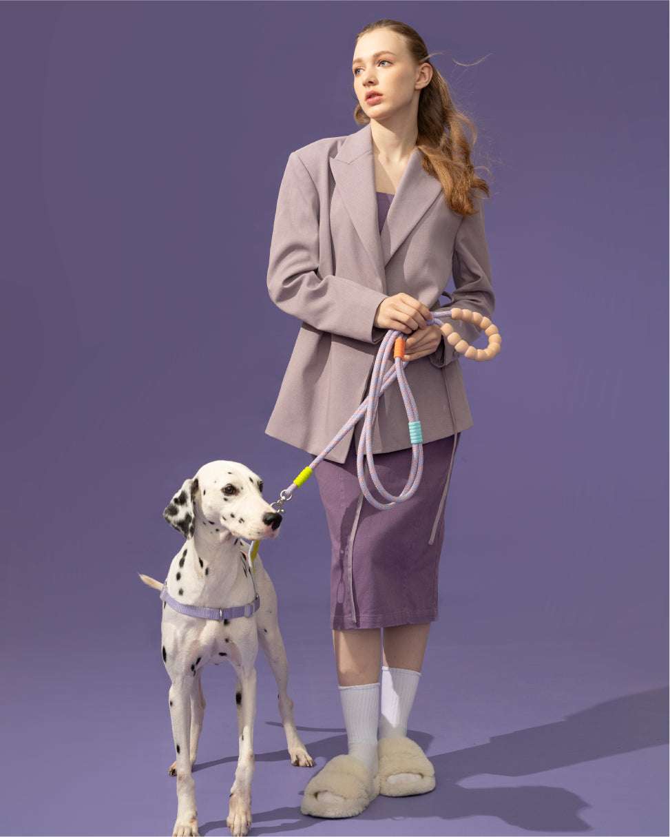 Marshmallow Plus Dog Leash Kit