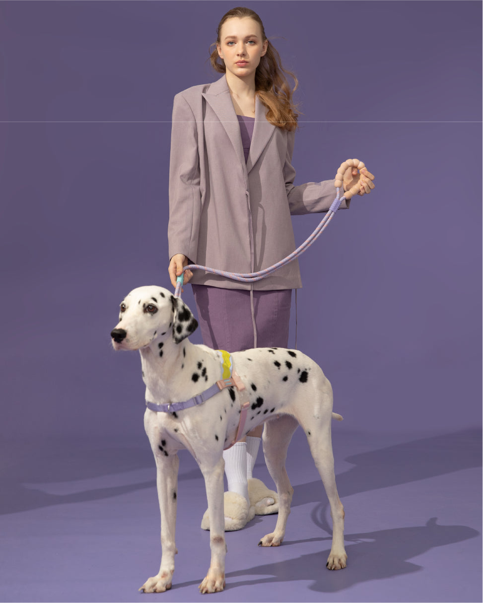 Marshmallow Plus Dog Leash Kit
