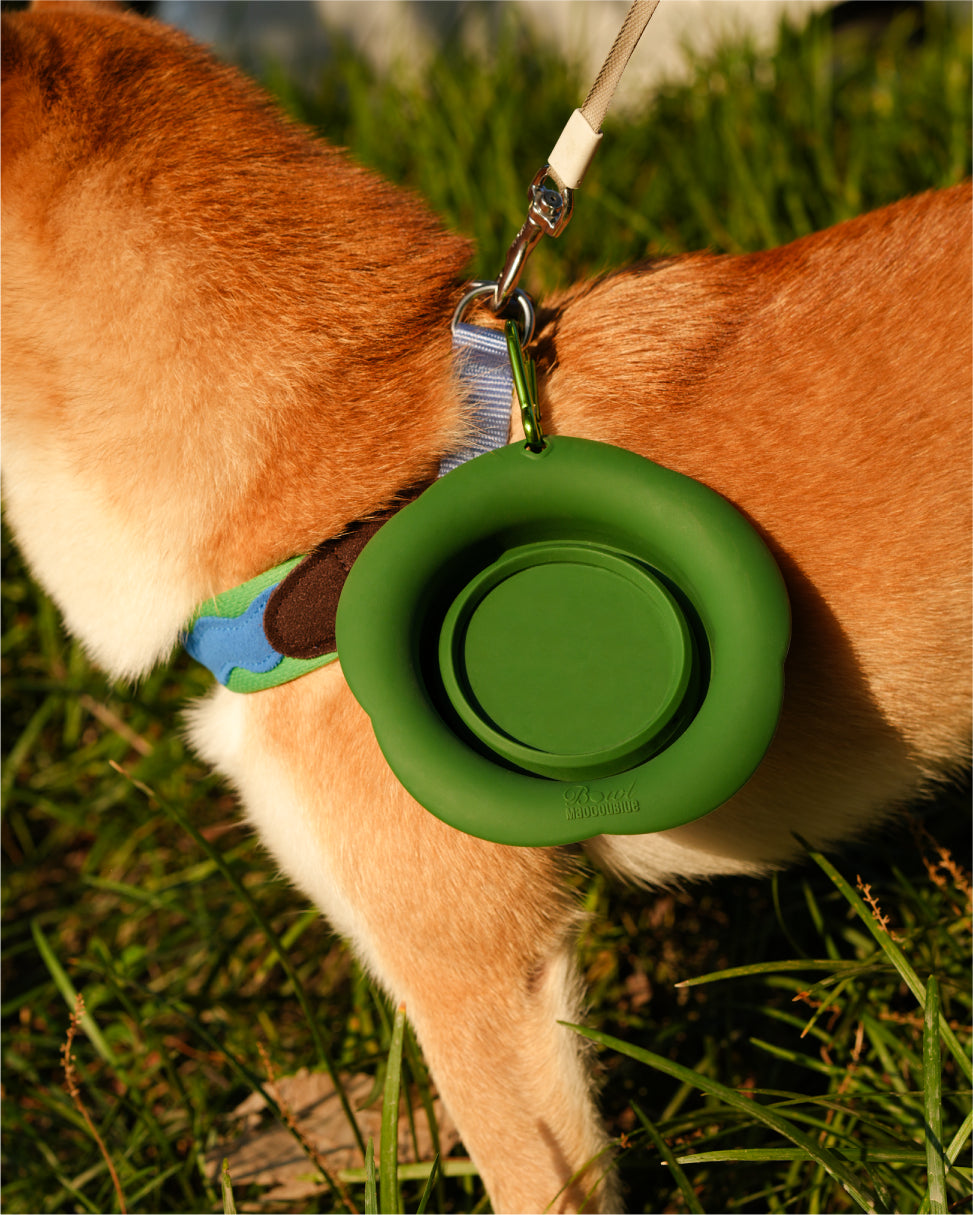 Marshmallow Foldable Bowl