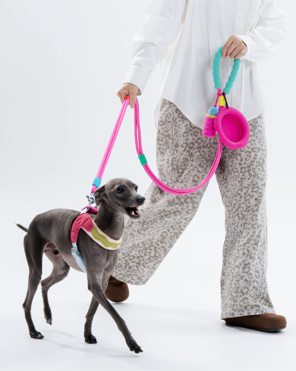 Marshmallow Foldable Bowl