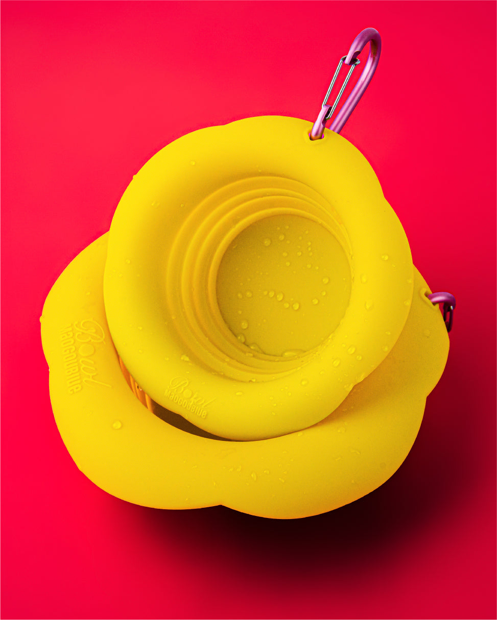 Marshmallow Foldable Bowl