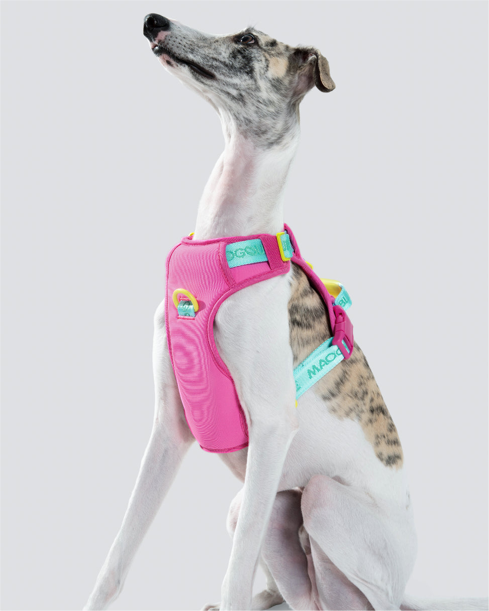 Central Park Harness
