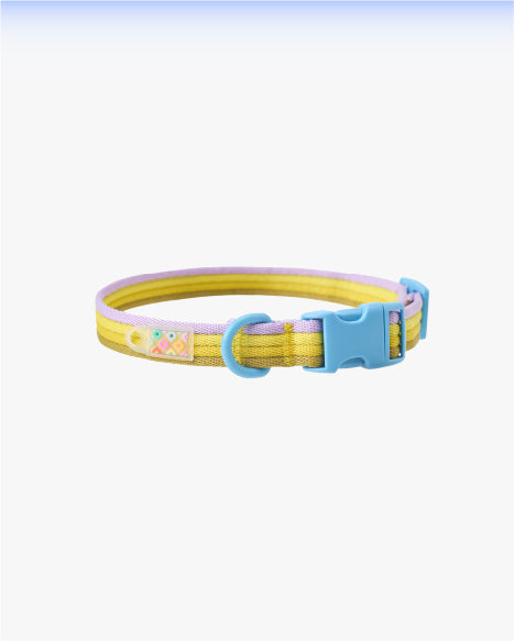 Marshmallow Collar-Floral language