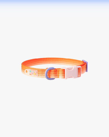 Marshmallow Collar-Sunset Orange