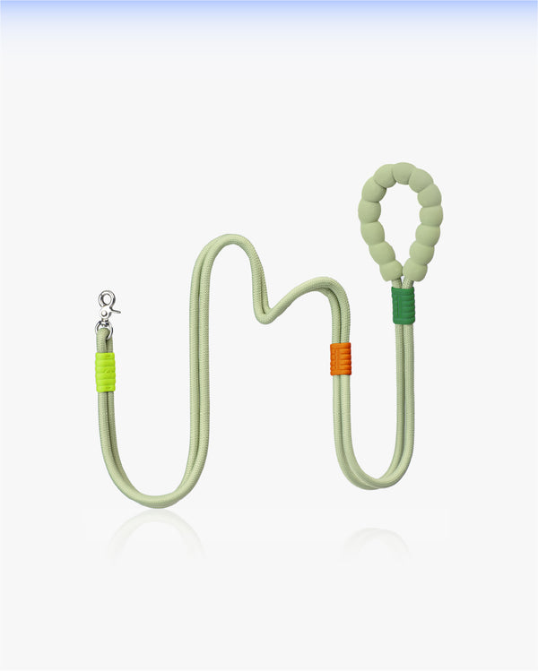 Marshmallow Standard Dog Leash - Matcha Green