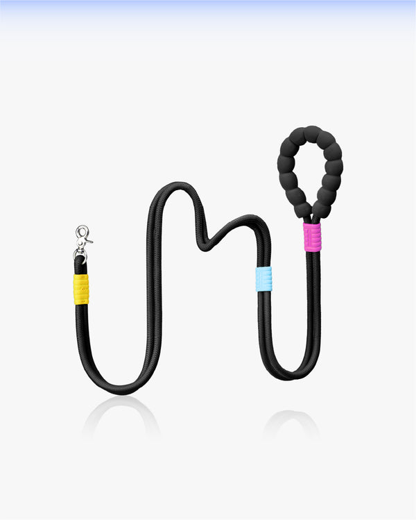 Marshmallow Standard Dog Leash - Obsidian Black