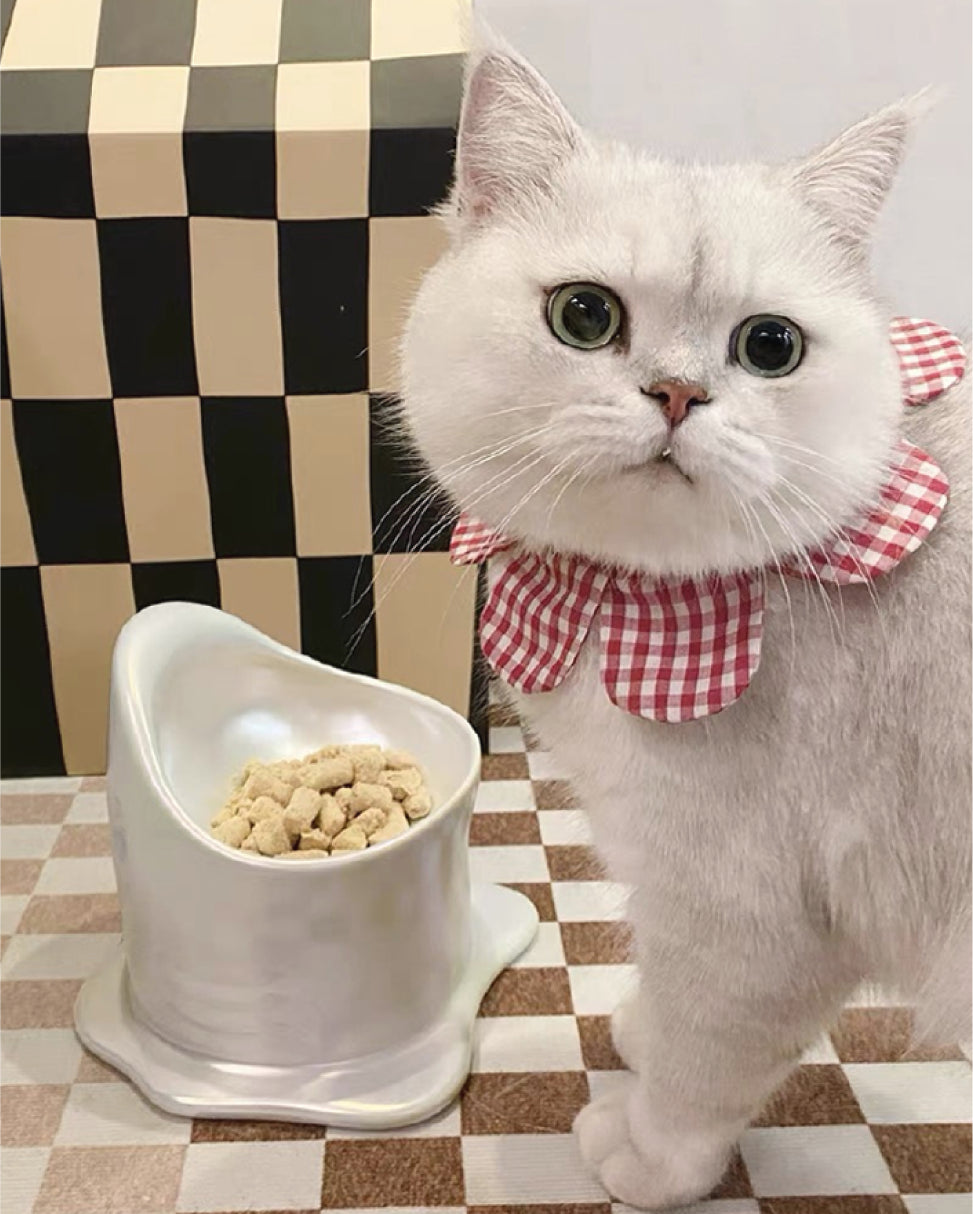 Shark Cat/Dog Feeding Bowl