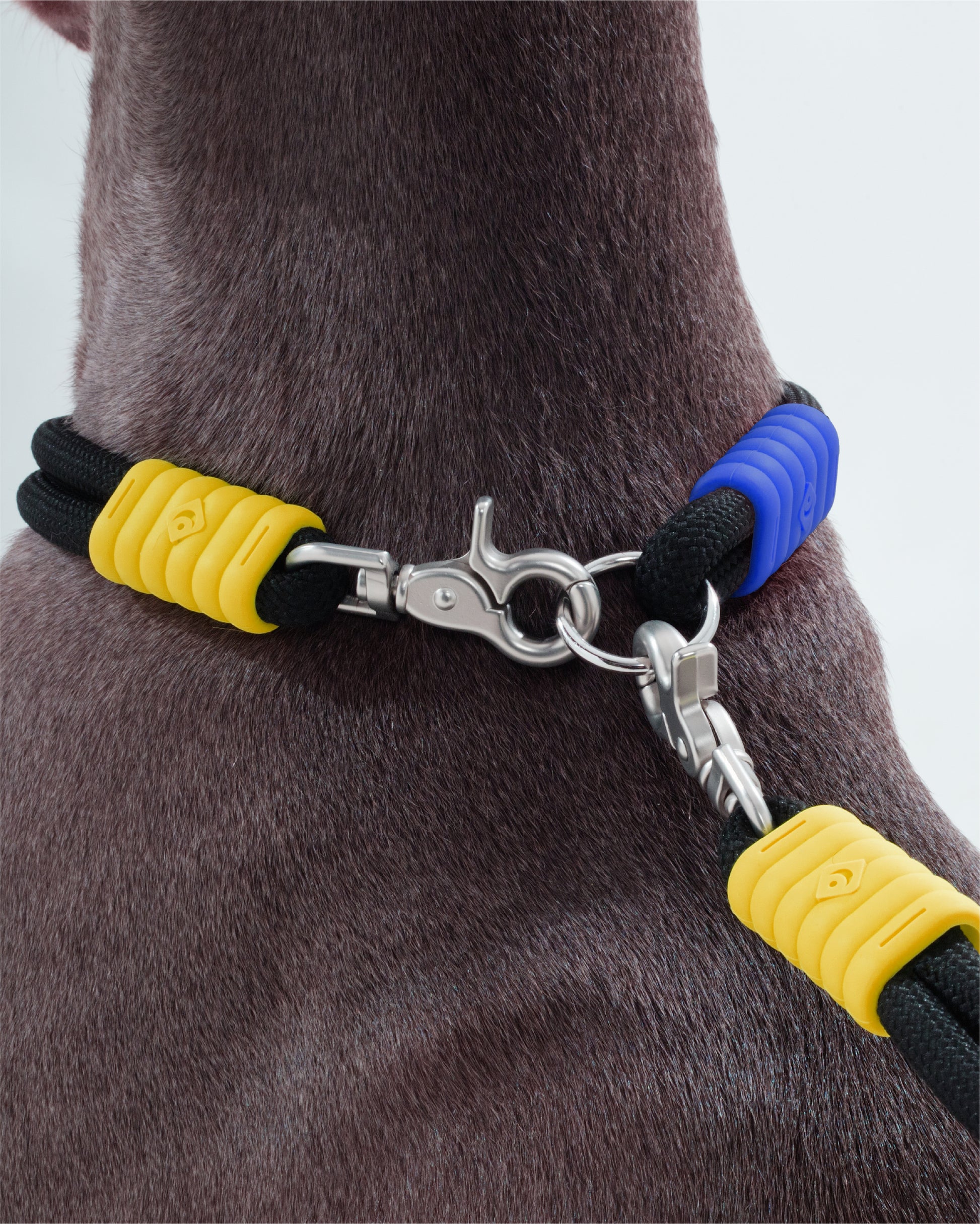 The Hula-Hoop standard-collar