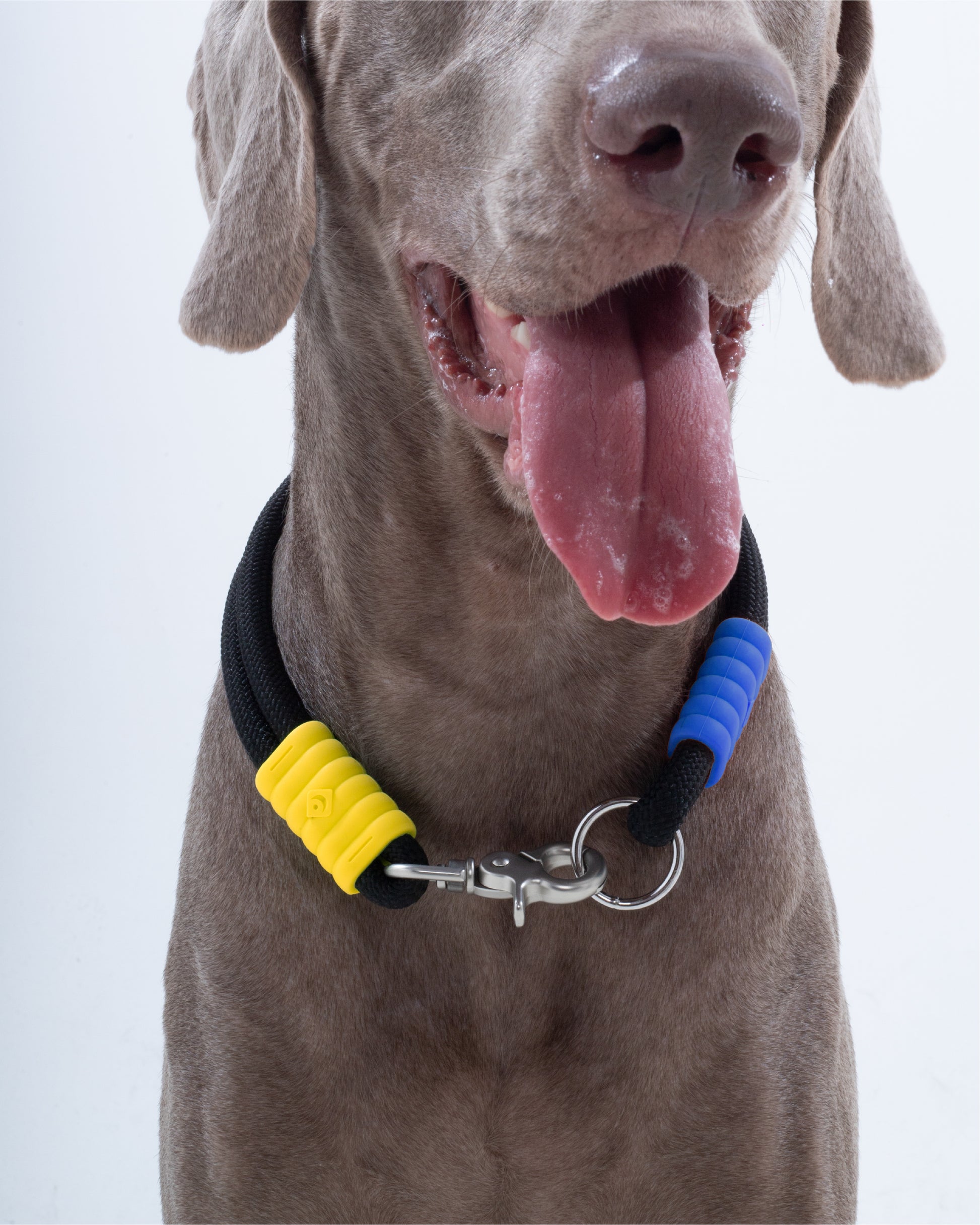 The Hula-Hoop standard-collar