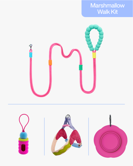 Hawaii 4-Piece Walk Set