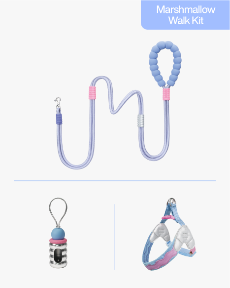 Y2K 3-Piece Walk Set