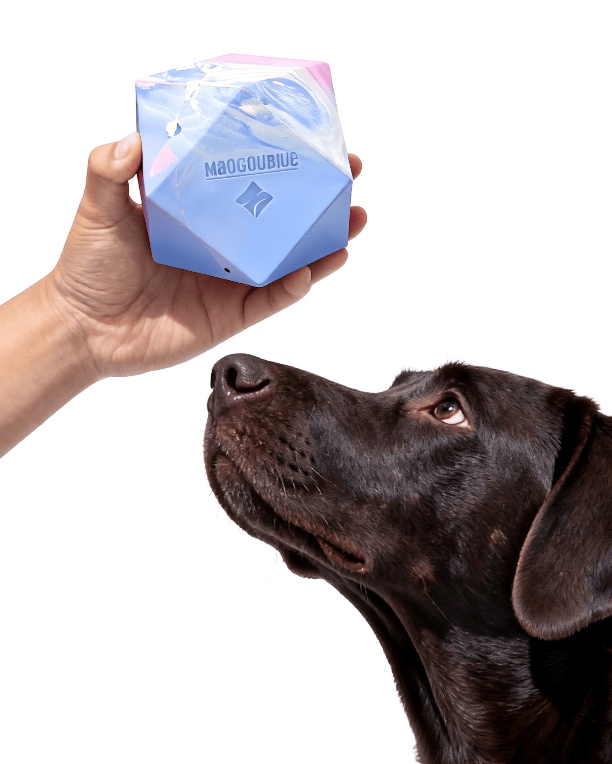犬用知育玩具