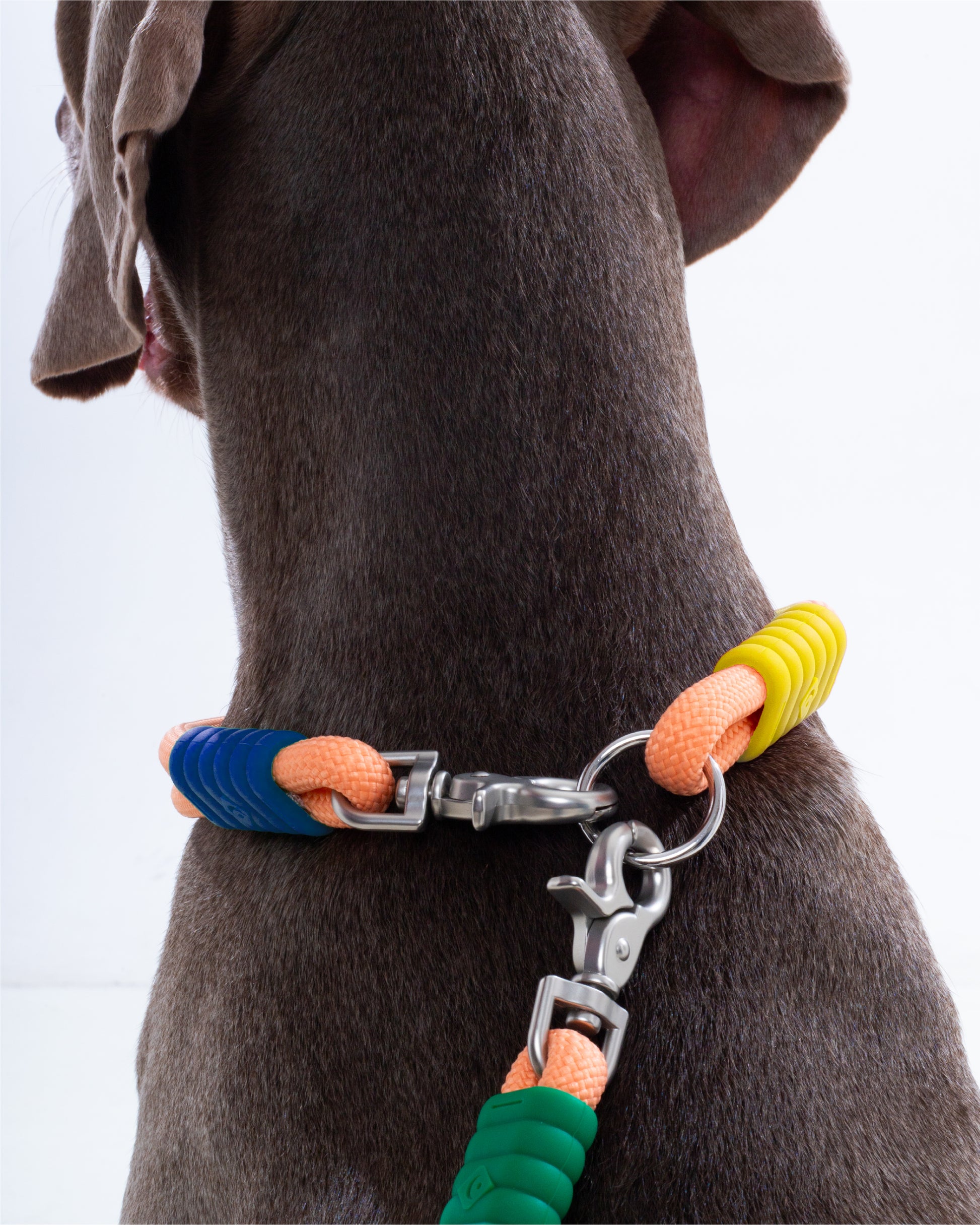 The Hula-Hoop standard-collar