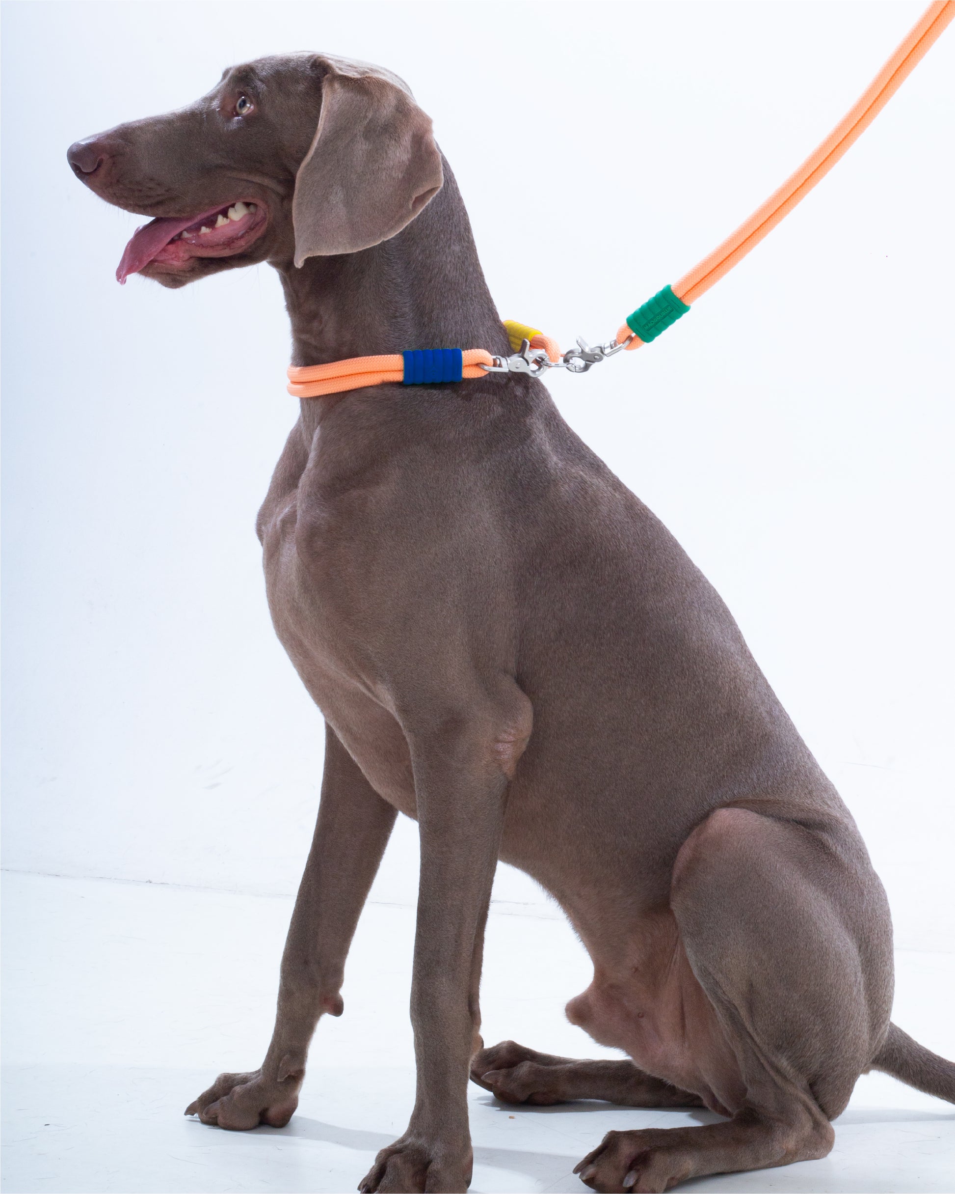 The Hula-Hoop standard-collar