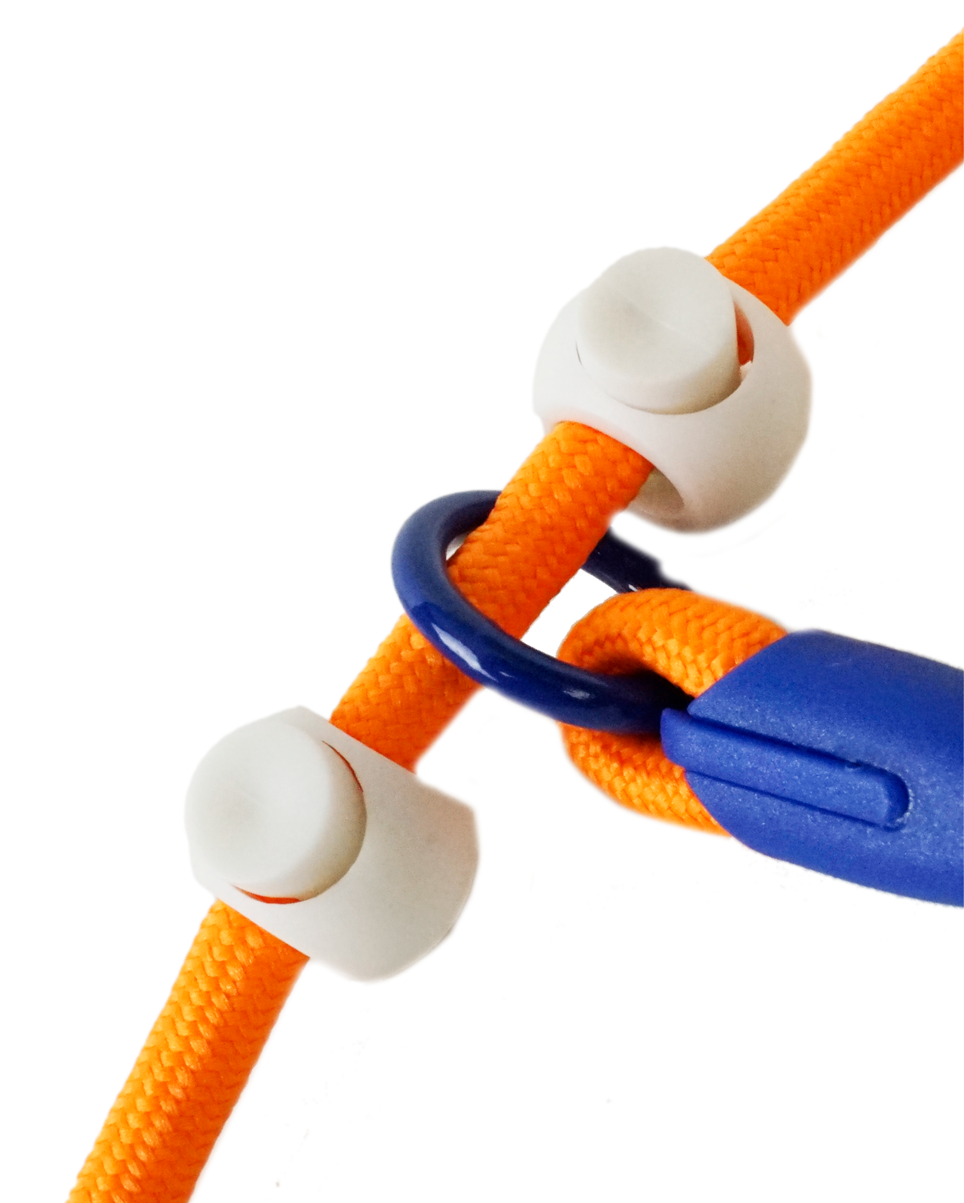Iris Ribbon - Rope leash