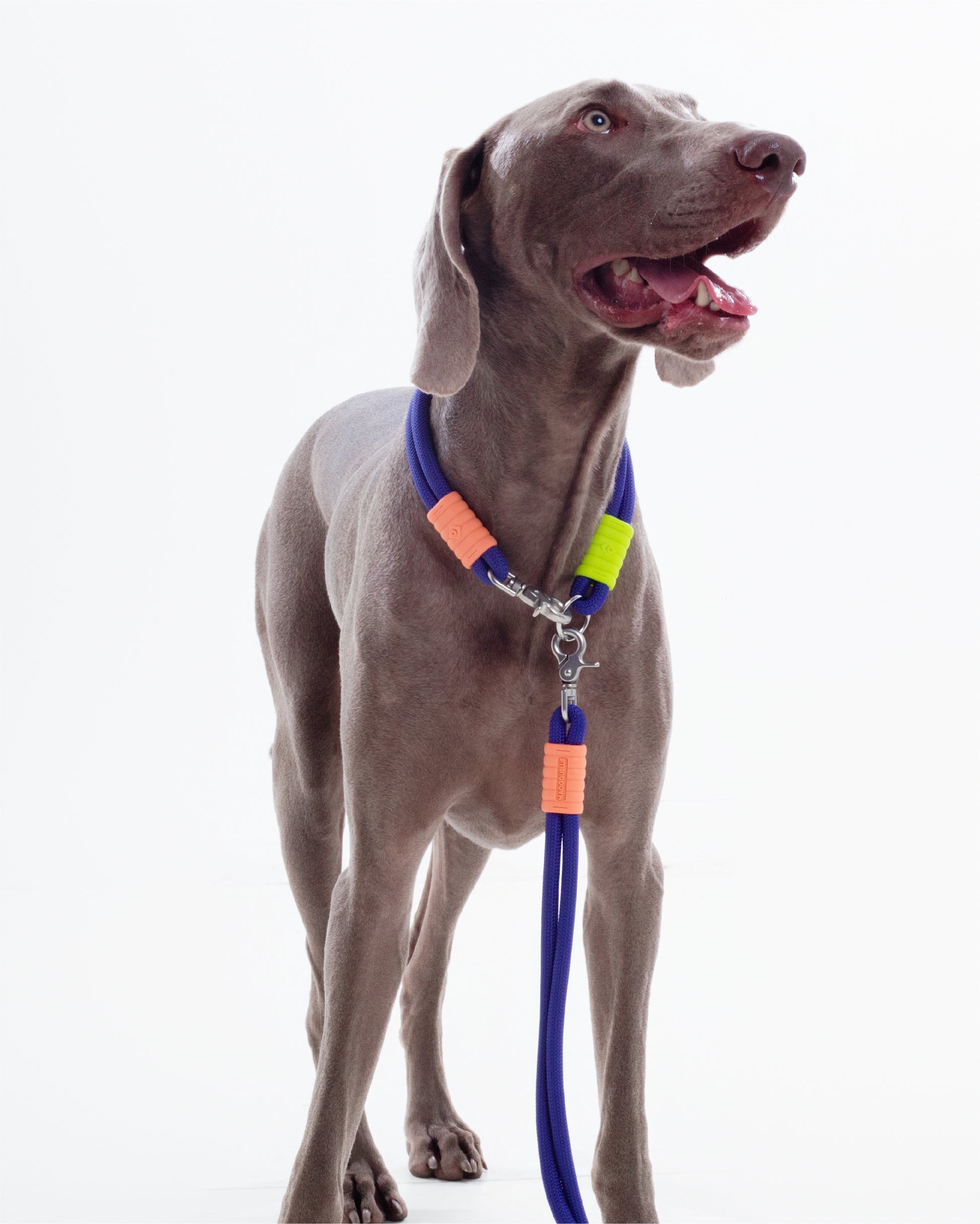 The Hula-Hoop standard-collar